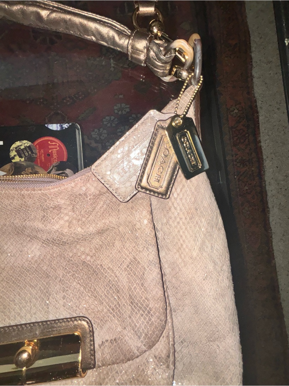 ✨ Authentic Coach Kristin Metallic Python Embossed Hobo Bag ✨ - Picture 3 of 4